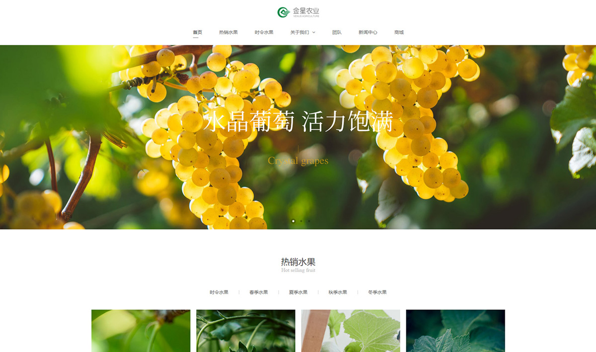 蔬菜水果網(wǎng)站