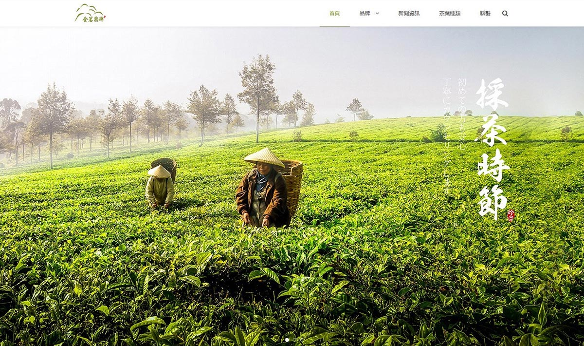 茶葉網(wǎng)站